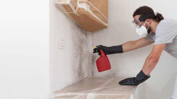 Professional Crawl Space Mold Remediation technician working in New Egypt, NJ